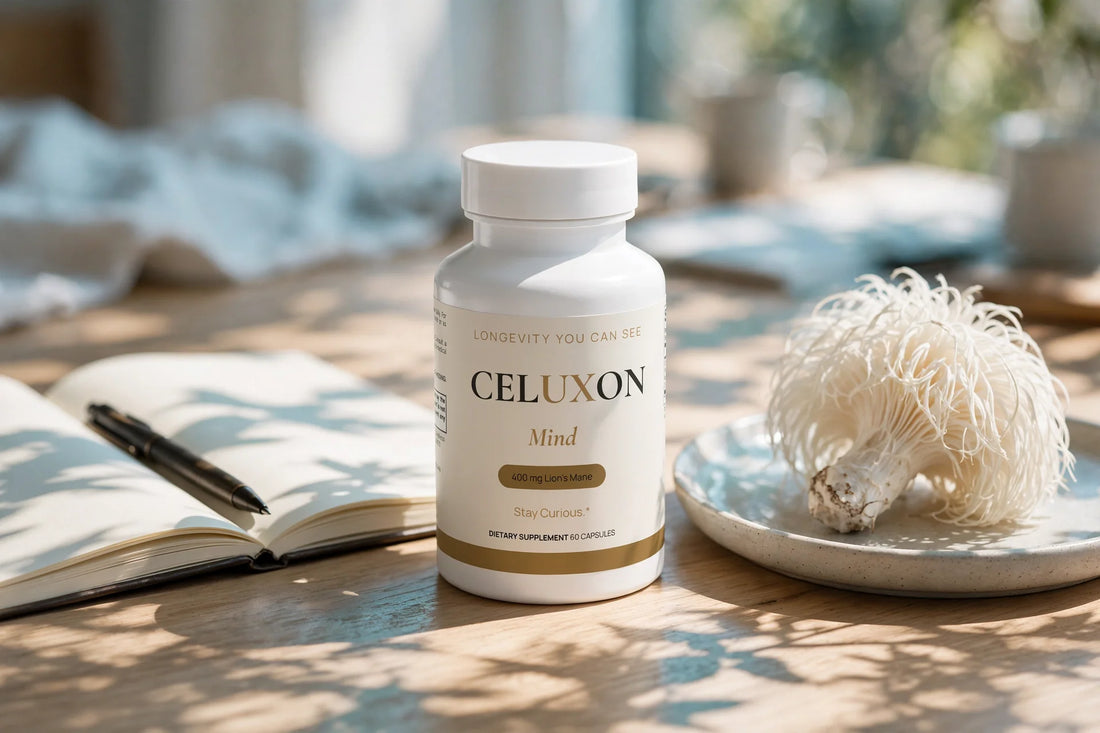 CELUXON Mind bottle in a focused workspace
