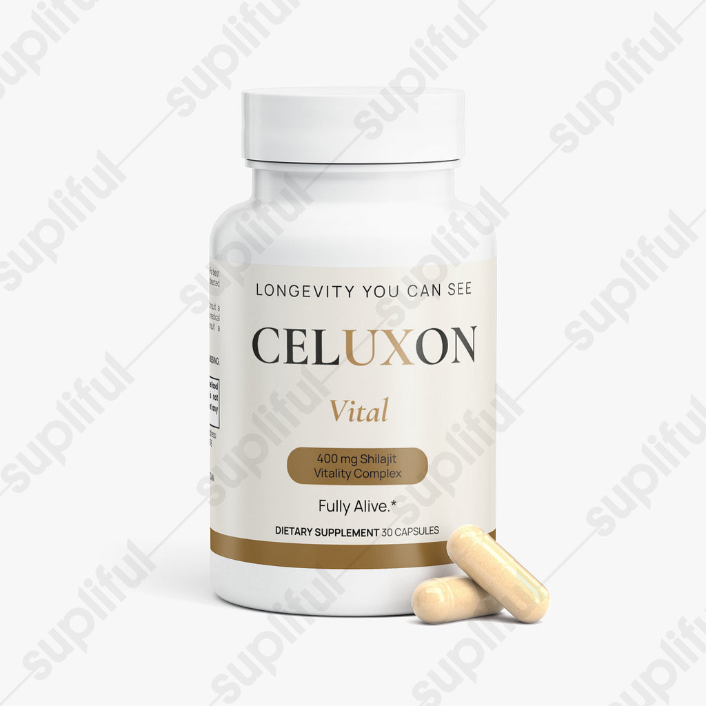 Vital — Shilajit Vitality Complex 400 mg, 30 Capsules