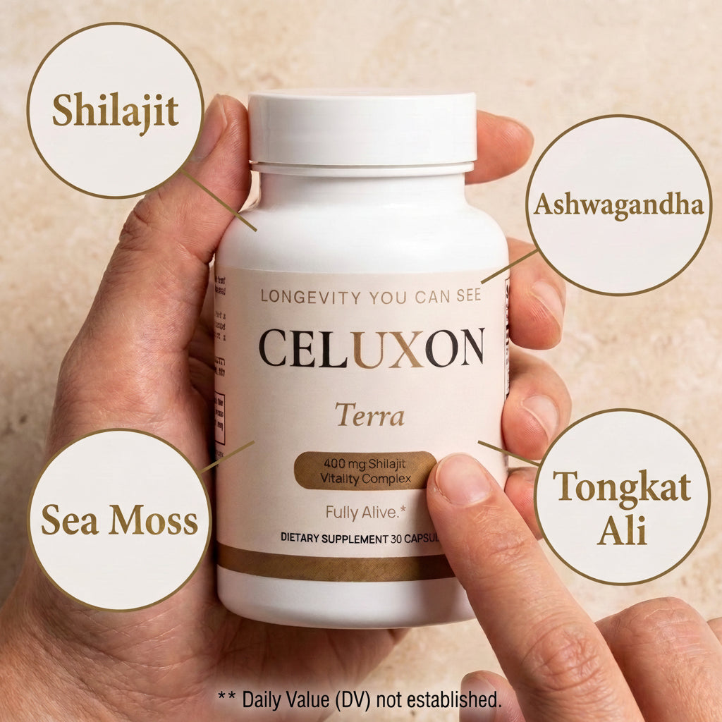 A hand holds a white bottle of Celuxon Terra dietary supplement, surrounded by five circular callout graphics pointing to ingredients: Shilajit, Ashwagandha, Tongkat Ali, Sea Moss, and Shilajit.