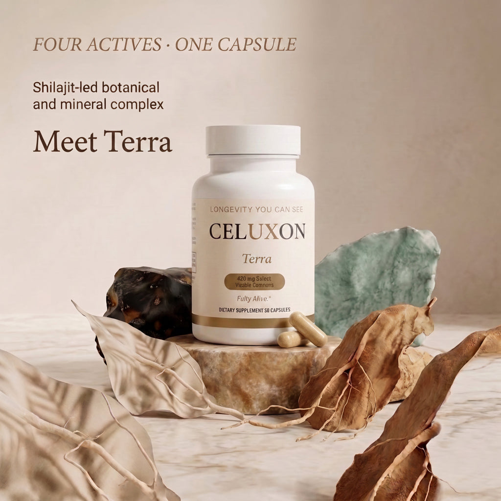 A white bottle of CELUXON Terra dietary supplement capsules styled on a marble surface with dried leaves, a green stone, and a dark root, against a warm beige background with promotional text.
