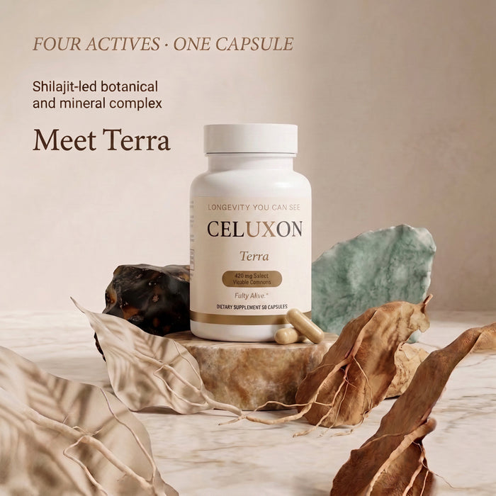Terra - Shilajit Vitality Complex 400 mg, 30 Capsules